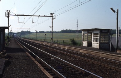 Hogne - TH 82-4119.jpg